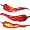chilly_peppas